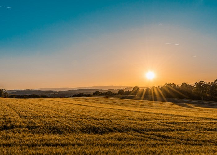 Rural property at golden hour